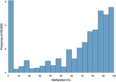 General DNA Methylation Patterns and Environmentally-Induced Differential Methylation in the Eastern Oyster (Crassostrea virginica)